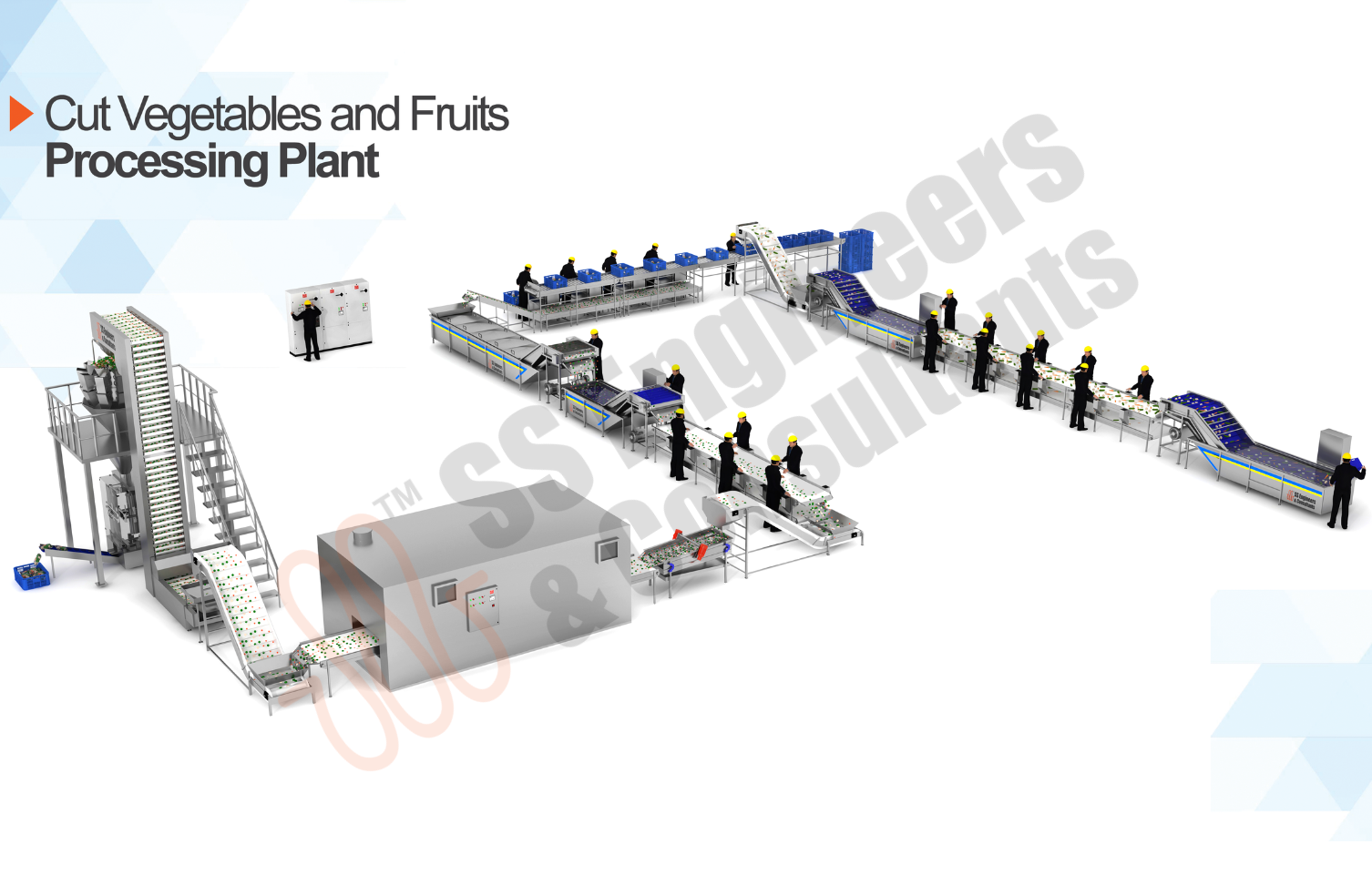 Salad cut vegetable proceesing line